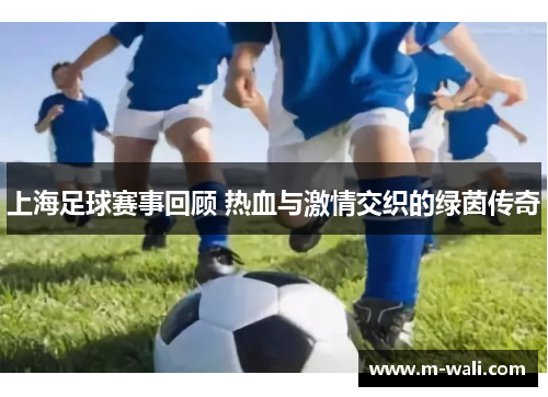 上海足球赛事回顾 热血与激情交织的绿茵传奇