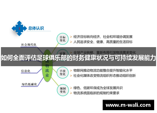 如何全面评估足球俱乐部的财务健康状况与可持续发展能力