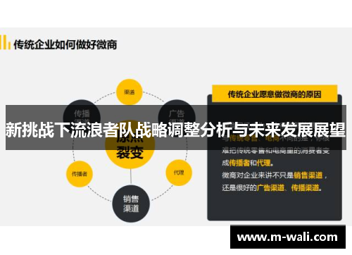 新挑战下流浪者队战略调整分析与未来发展展望