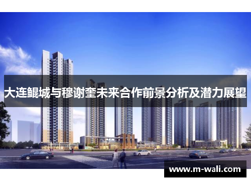 大连鲲城与穆谢奎未来合作前景分析及潜力展望