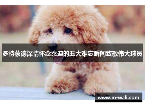 多特蒙德深情怀念泰迪的五大难忘瞬间致敬伟大球员